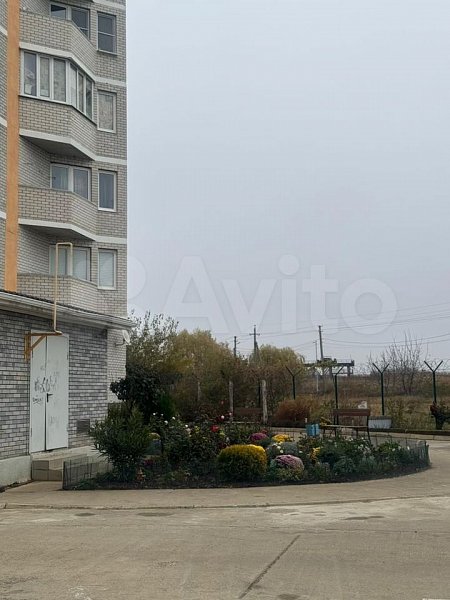 1-комн квартира, 24.8 м², р-н Окраины (№130409)