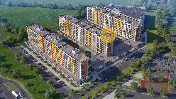 Студия, 24.46 м², ЖК Друзья (№132576)