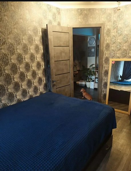 3-комн квартира, 59.1 м², р-н Черемушки (№130627)