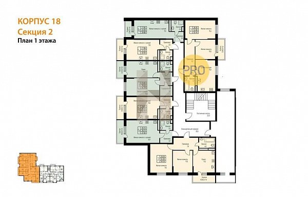 2-комн. квартира, 55 м², ЖК Nova Vita (№133545)