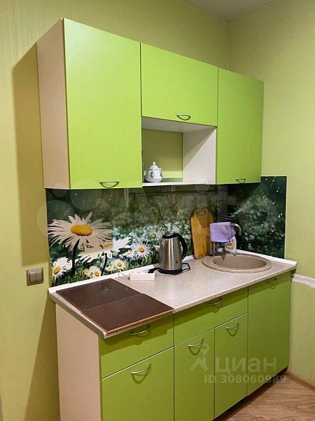 Студия, 28 м², р-н поселок Российский (№126755)