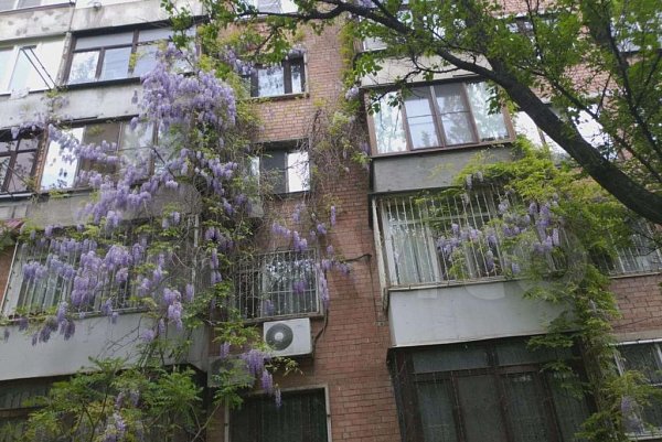 6-комн квартира, 124.7 м², р-н Центр (№124283)