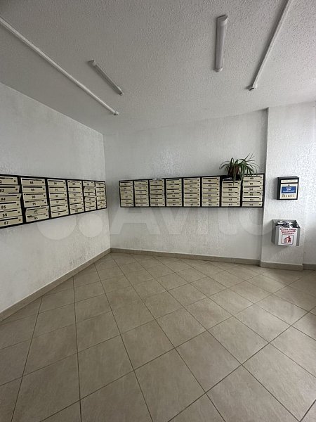 1-комн квартира, 26 м², р-н Энка - Баскет-холл (№126801)