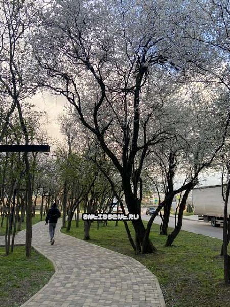 1-комн квартира, 37 м², р-н Восточно-кругликовский (№127662)