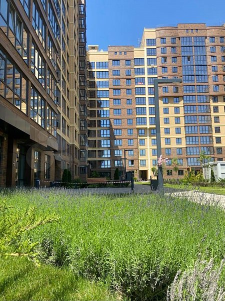 3-комн квартира, 81.5 м², р-н Российская ул (№124272)