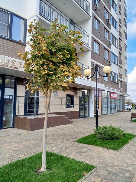 2-комн квартира, 57.9 м², р-н Краснодарский (№129936)