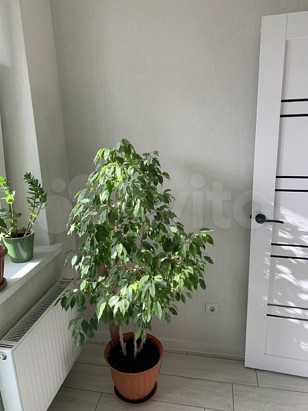 1-комн квартира, 35.2 м², р-н Славянский (№127181)