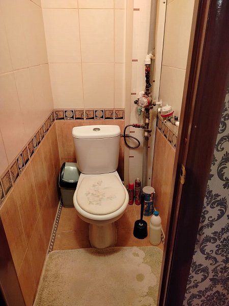 2-комн квартира, 55 м², р-н Российский п (№122729)