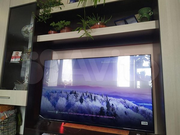 Студия, 31.4 м², р-н поселок Российский (№125909)