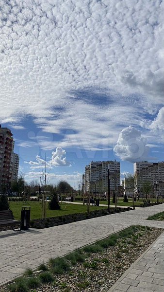 2-комн квартира, 66.1 м², р-н Молодежный (№130604)