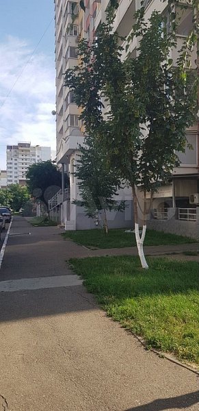 1-комн квартира, 35 м², р-н Молодежный (№131826)