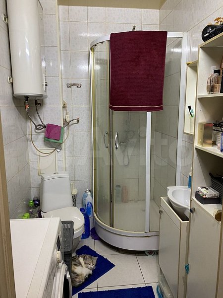 Студия, 28 м², р-н поселок Российский (№124740)