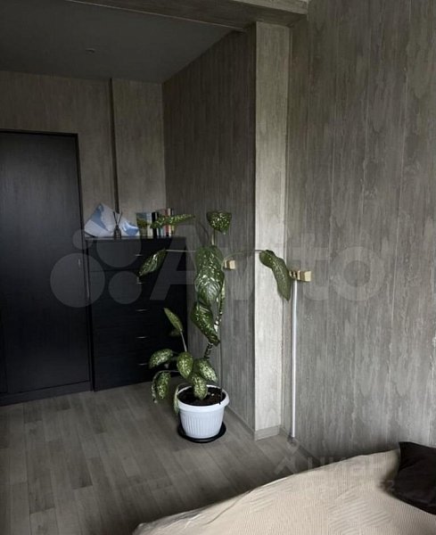 1-комн квартира, 25.6 м², р-н Центральный (№126425)