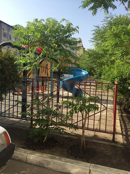 1-комн квартира, 43 м², р-н Музыкальный (№127203)