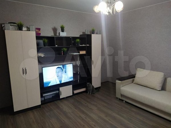 1-комн квартира, 40 м², р-н Российский п (№126668)