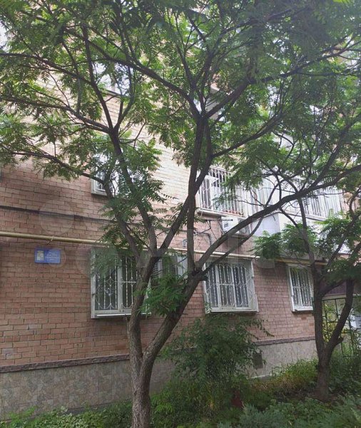 6-комн квартира, 124.7 м², р-н Центр (№124283)