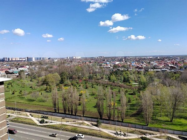 1-комн квартира, 44.9 м², р-н Пашковский (№126380)