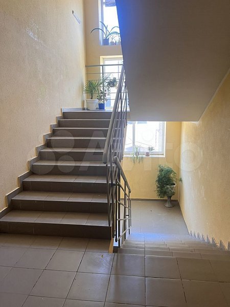2-комн квартира, 53 м², р-н Окраины (№127692)