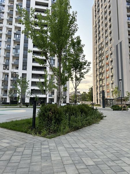 1-комн квартира, 37 м², р-н Энка - Баскет-холл (№126798)