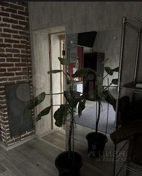 1-комн квартира, 25.6 м², р-н Центральный (№126425)