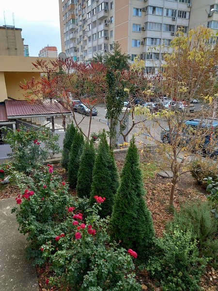 4-комн квартира, 103.5 м², р-н Восточно-кругликовский (№124037)