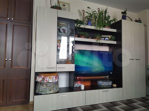 Студия, 31.4 м², р-н поселок Российский (№125909)