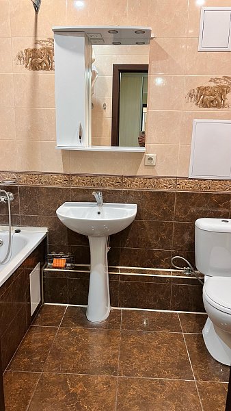 1-комн квартира, 44.3 м², р-н Энка - Баскет-холл (№130152)