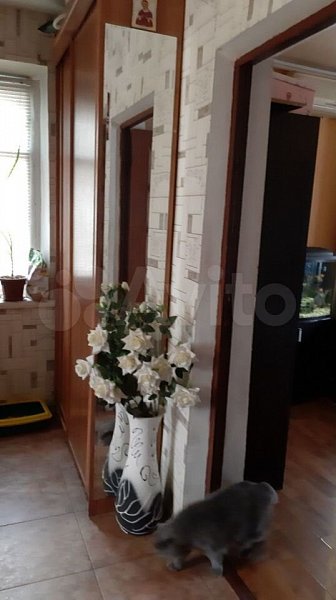 2-комн квартира, 45 м², р-н Селезнева-СБС (№129907)