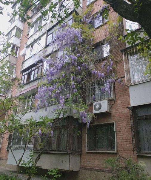 6-комн квартира, 124.7 м², р-н Центр (№124283)