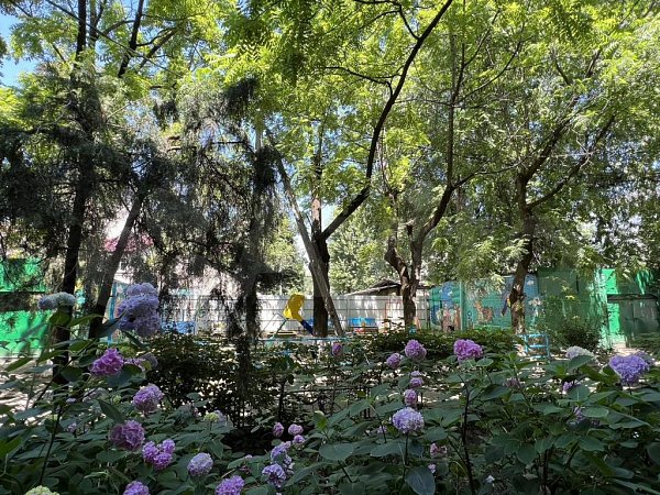 3-комн квартира, 60 м², р-н Центр (№130488)