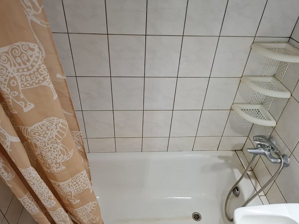1-комн квартира, 29.7 м², р-н Фестивальный (№127865)