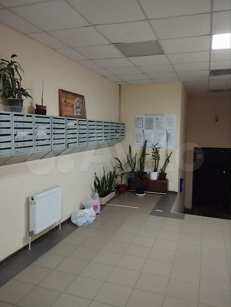 1-комн квартира, 33 м², р-н Российский п (№128827)