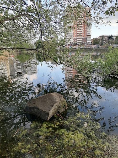 3-комн. квартира, 54 м², р-н Селезнева-СБС, Краснодар (№124986)