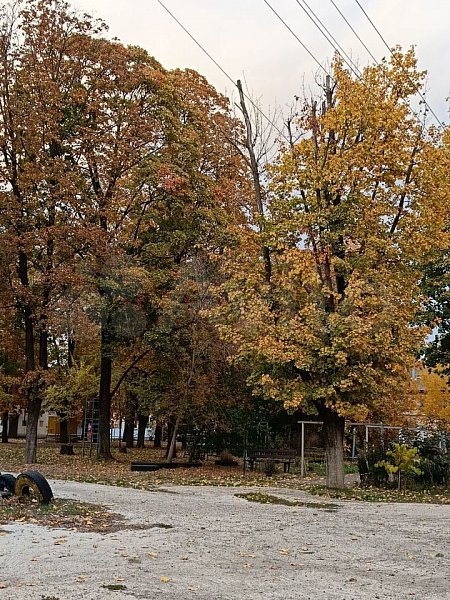 2-комн квартира, 45 м², р-н Селезнева-СБС (№129907)